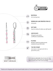 Linear Pink Earrings For Women-5