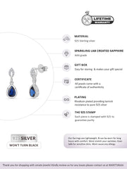 Sapphire Dazzling Earrings For Women