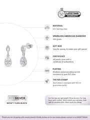 Diamond Look Dazzling Earrings-1